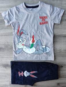 Костюм "Take it Basy" сірий, хлопчик 3-4-5-6 років