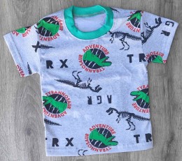 Футболка «Tyrannosaur» сірий, хлопчик 1-2-3-4-5 років