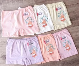 Труси «Dream Big» микс цветов, девочка 4-5 года