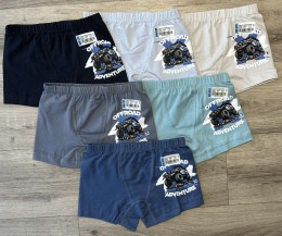 Труси ADN «Road» микс цветов, мальчик 2-3 года