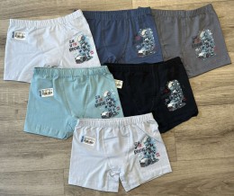 Труси ADN «Gear» микс цветов, мальчик 2-3 года