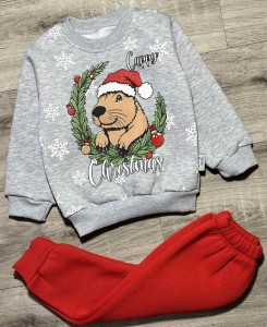 Костюм Herry "Cappy" серый, унисекс 1-2-3 года