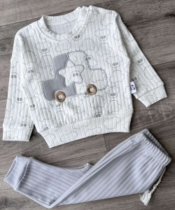 Костюм Anilco "Car" сірий, хлопчик 3-6-9 місяців