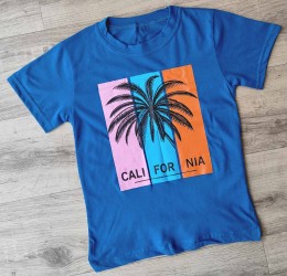 Футболка "Пальми" Електрик, хлопчик 9-10-11-12 років